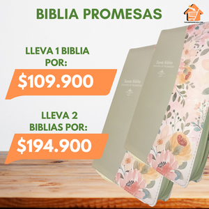 Biblia PROMESAS - Letra Grande RV1960