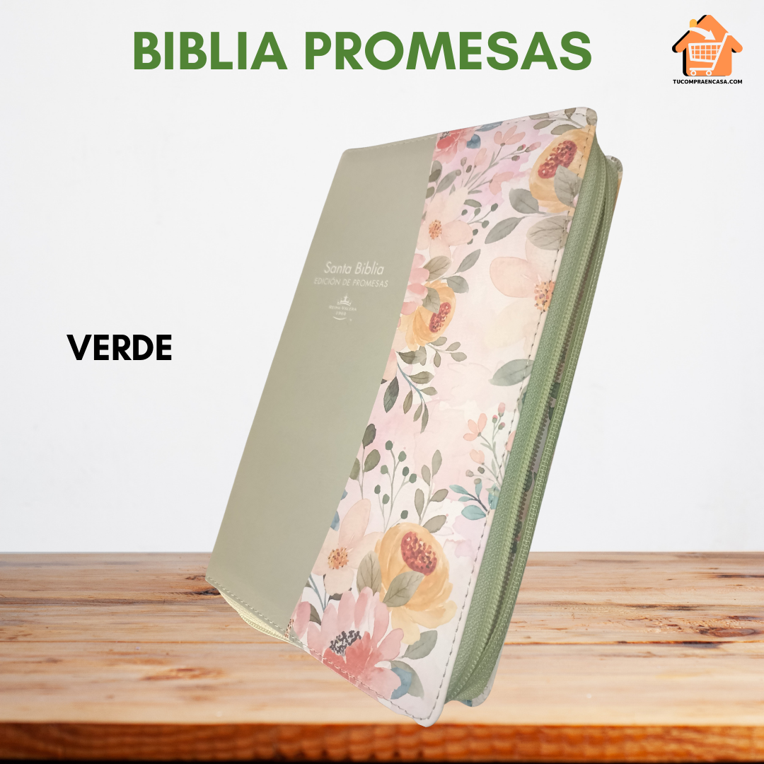 Biblia PROMESAS - Letra Grande RV1960