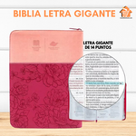 Biblia Letra GIGANTE  - Reina Valera 1960