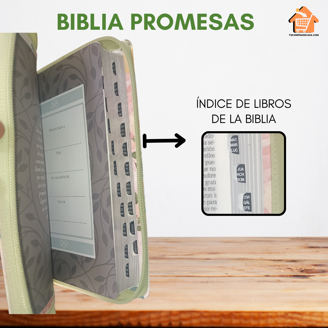 Biblia PROMESAS - Letra Grande RV1960